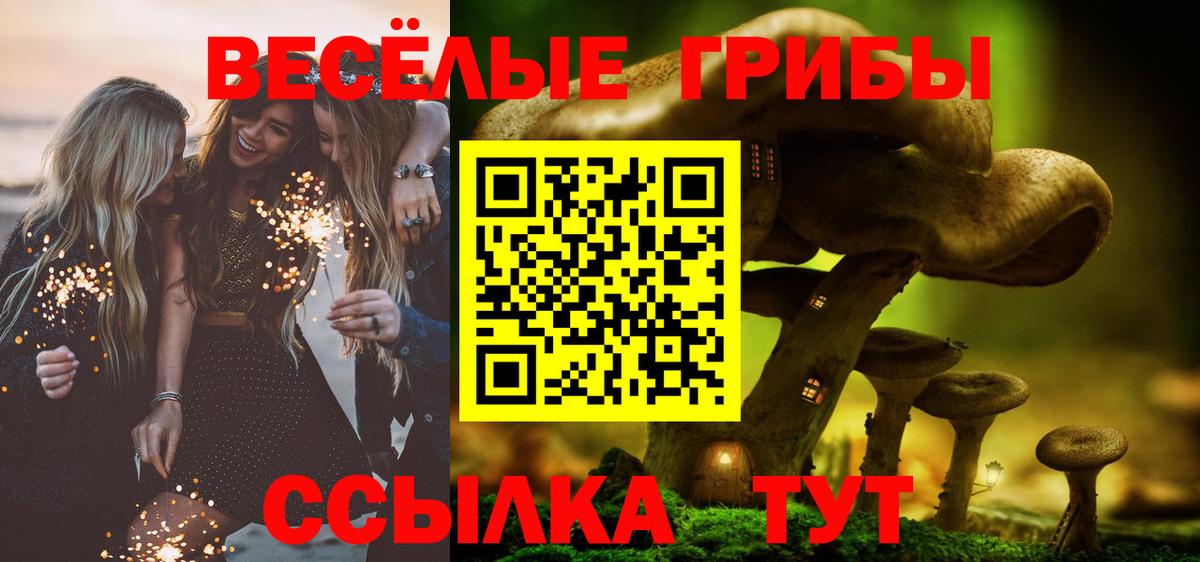 Псилоцибиновые грибы Psilocybine cubensis Новоалександровск